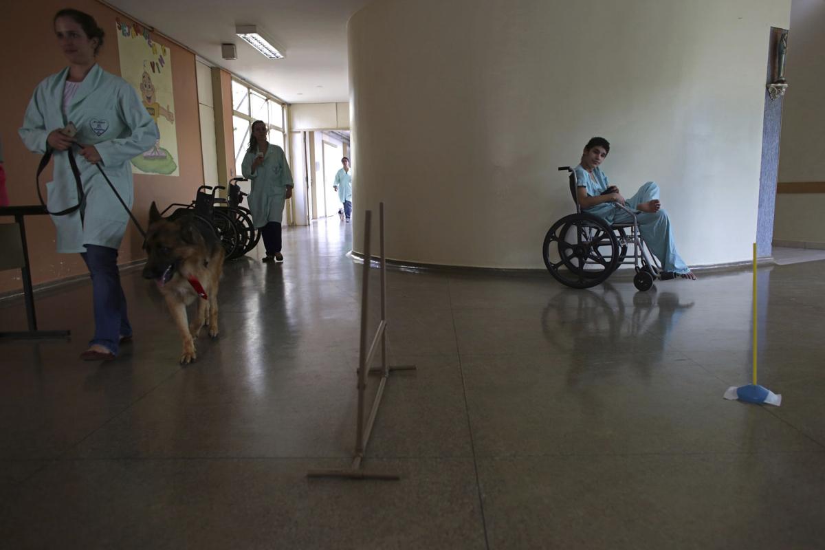 Brazil Pet Therapy Photo Gallery