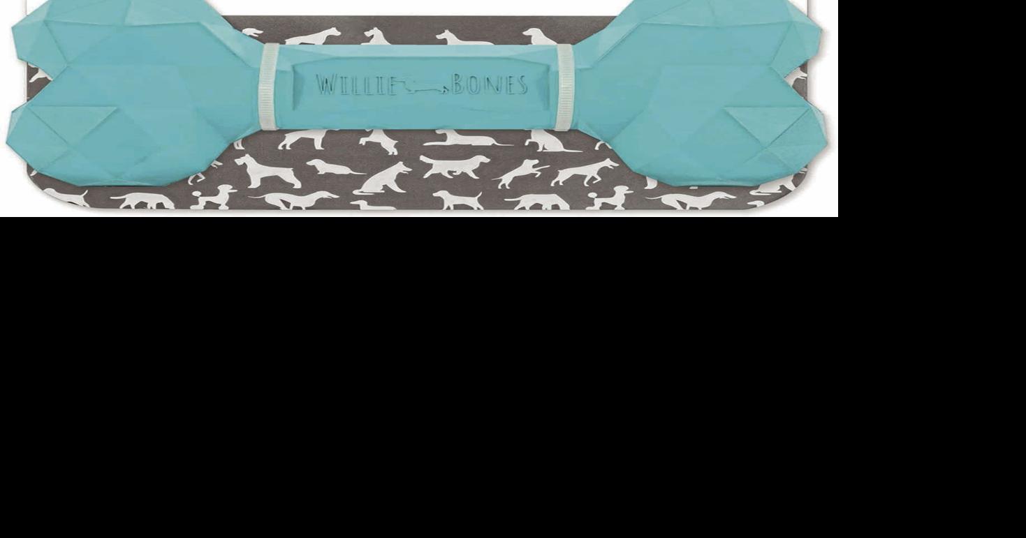 Willie Bones Modern Dog Chew Toy