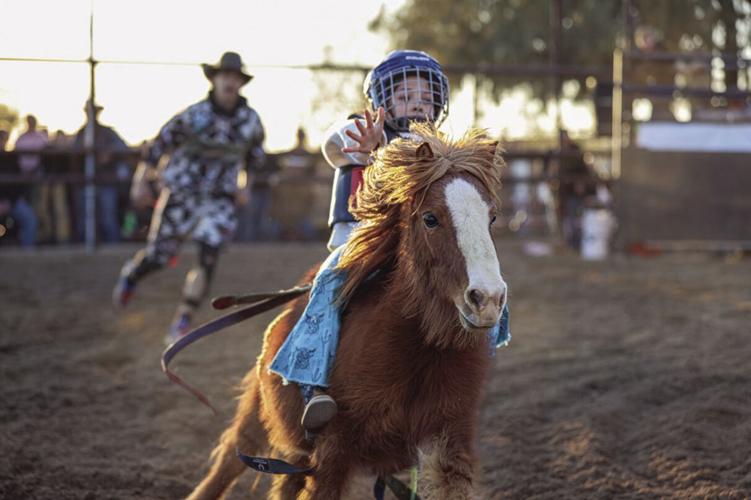 406 Rodeo Western Trails Ranch hosts 406 Rodeo | Roping & Riding | wickenburgsun.com