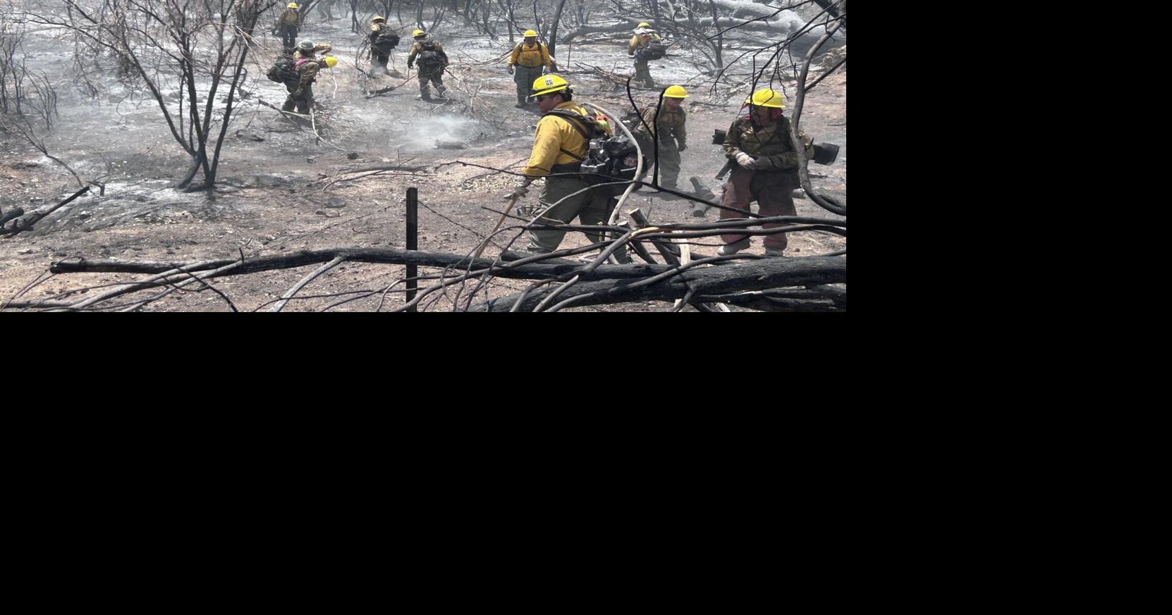 Town of Wickenburg may seek grant to aid with fire prevention efforts
