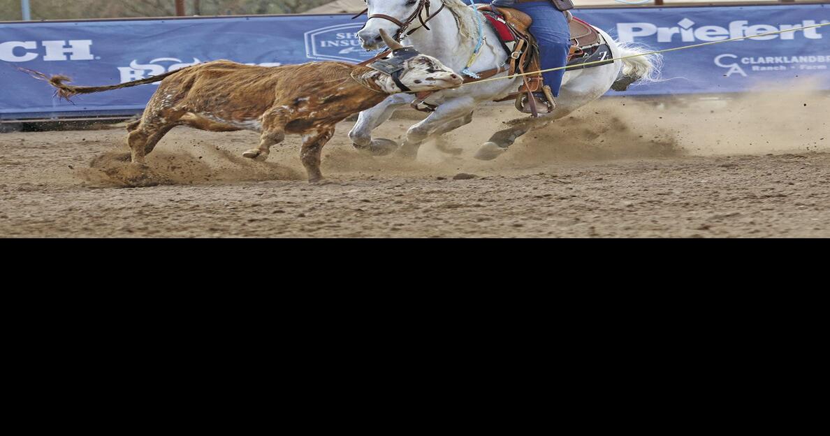 Rancho Rio hosts NTR finals | Roping & Riding | wickenburgsun.com