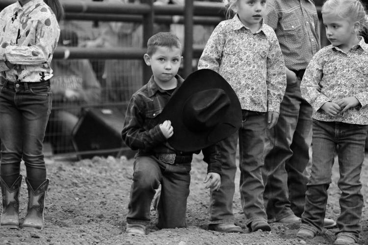 406 Rodeo 406 Rodeo 1-20-24 | Photo Galleries | wickenburgsun.com
