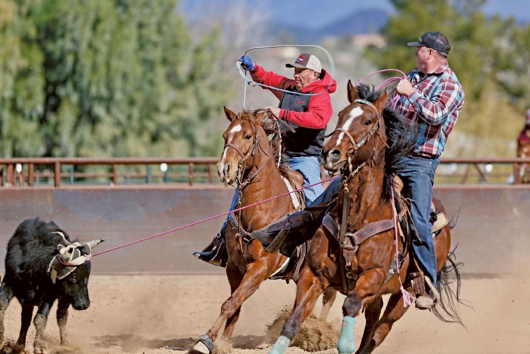 Roping For Good | News | Wickenburgsun.com