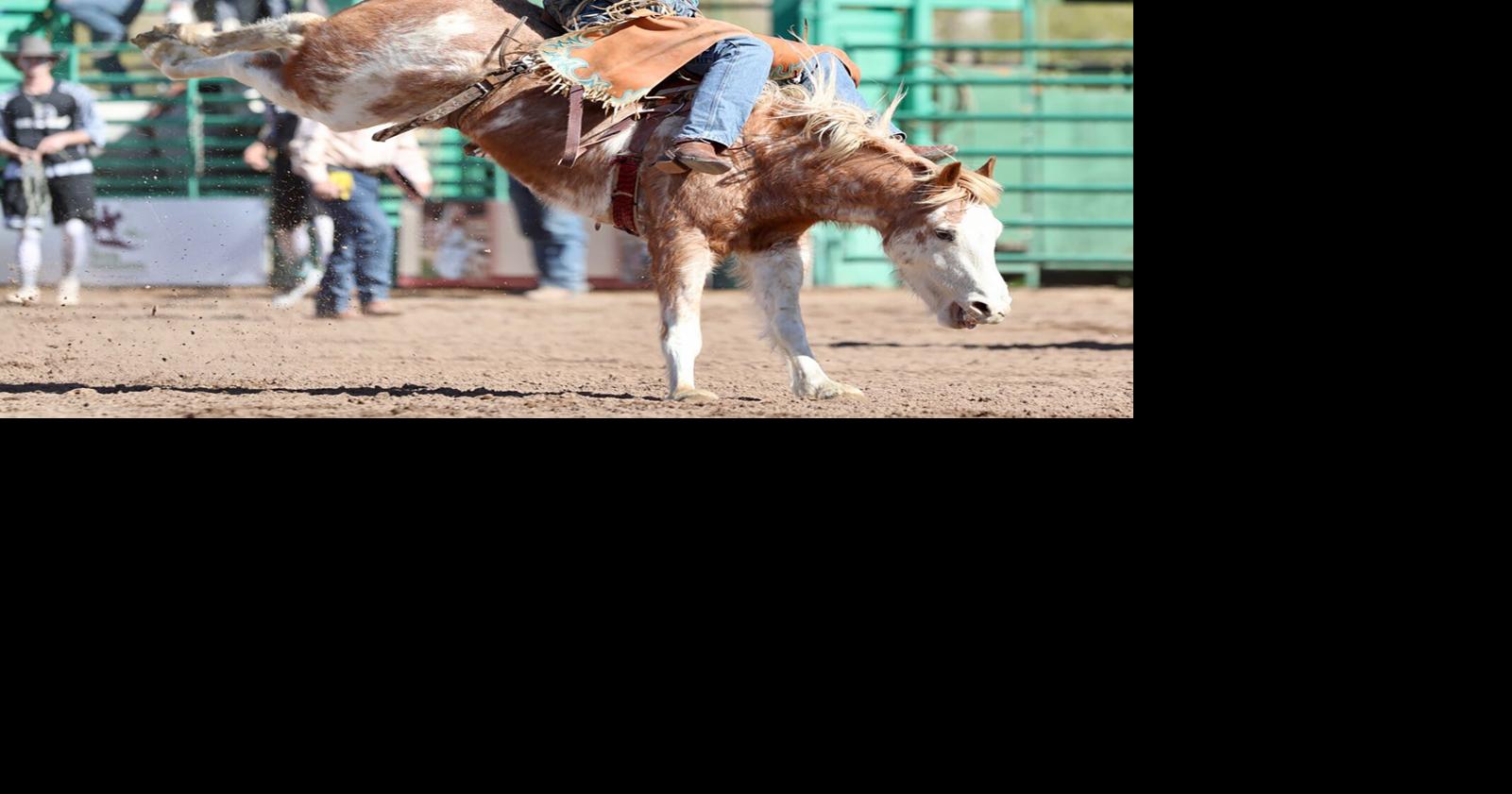 National Senior Pro Rodeo returns during GRD weekend | Business News ...