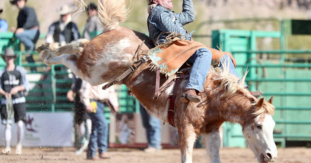 Senior Rodeo National Senior Pro Rodeo returns during GRD weekend | Business News ...