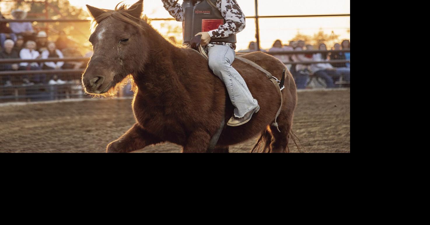 406 Rodeo holds holiday bonanza | Roping & Riding | wickenburgsun.com