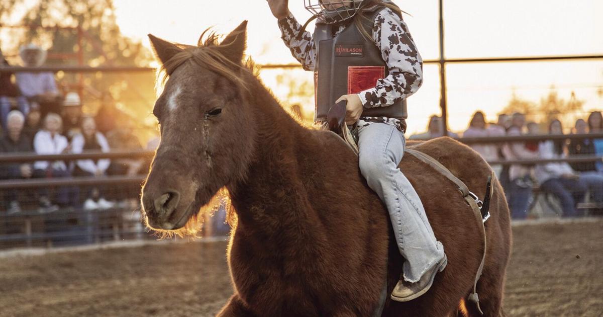 Christmas Live Roping 406 Rodeo holds holiday bonanza | Roping & Riding | wickenburgsun.com
