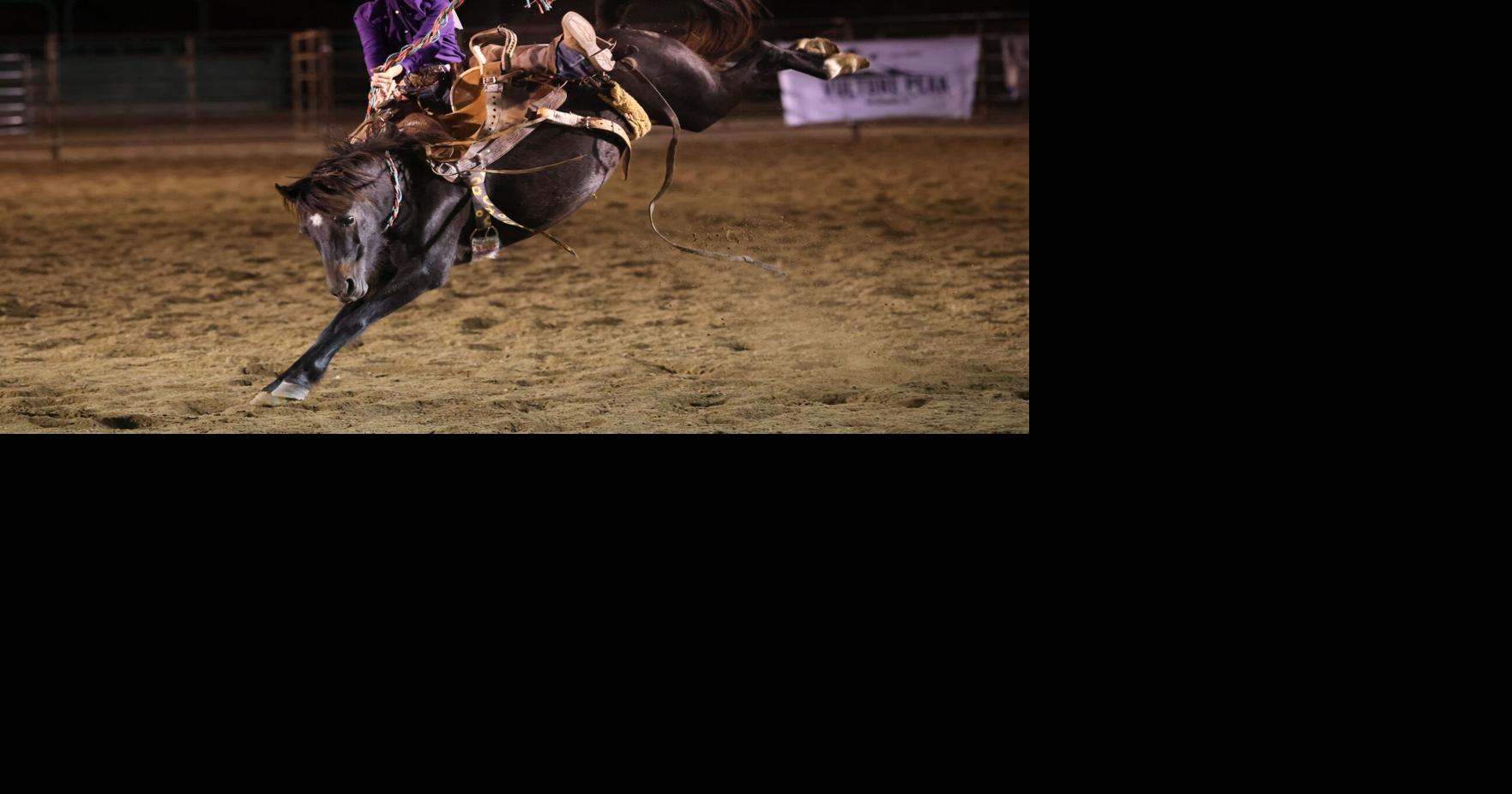 Junior Roughstock Association Finals come to Everett Bowman | News ...