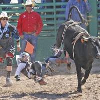 Let's Rodeo | Around Town | wickenburgsun.com
