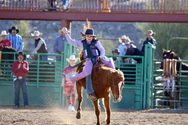 406 Rodeo 2-18-24 | Photo Galleries | wickenburgsun.com