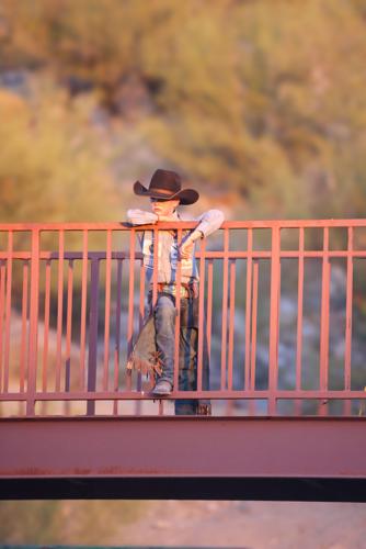 406 Rodeo 406 Rodeo hosts Junior Rough Stock Association Finals | Roping & Riding ...