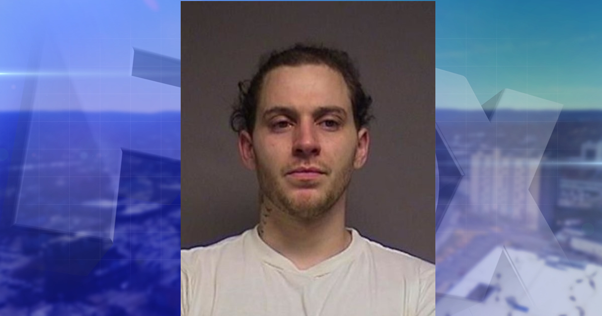 Endicott Man Pleads Guilty to Weapons Charge After 2024 Search Warrant ...