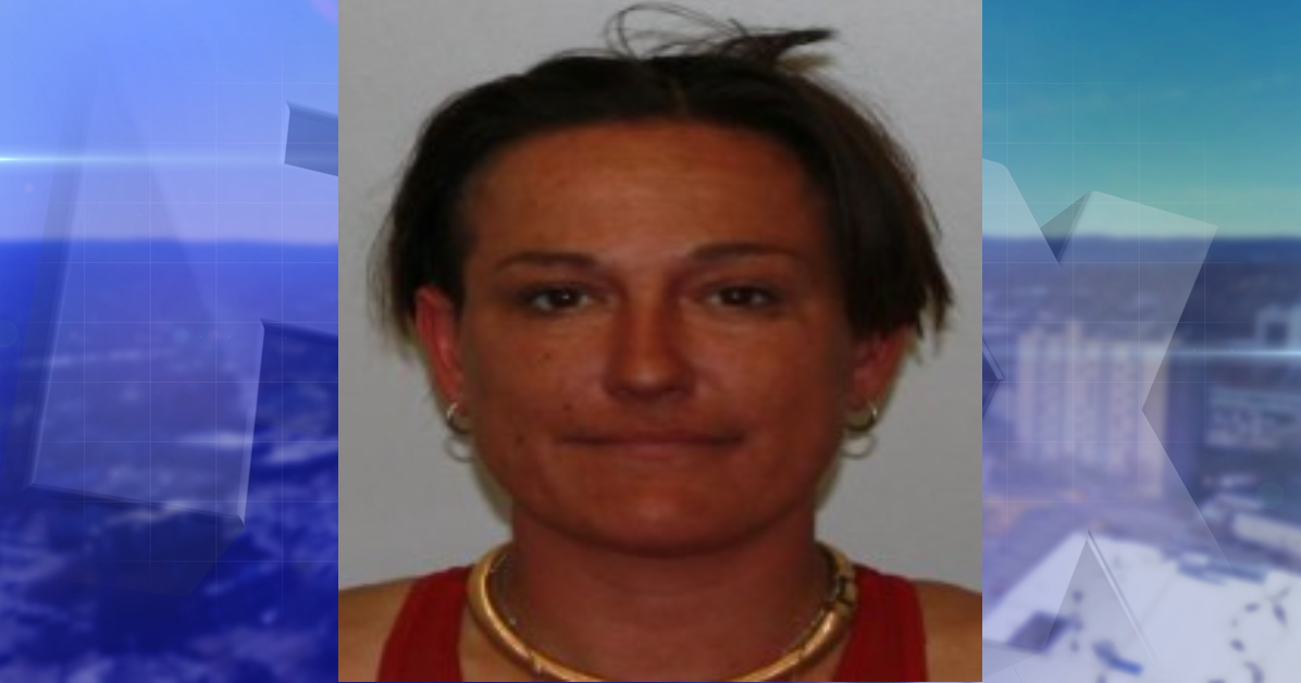 Binghamton Woman Pleads Guilty After Taking Tow Truck From Deposit Business
