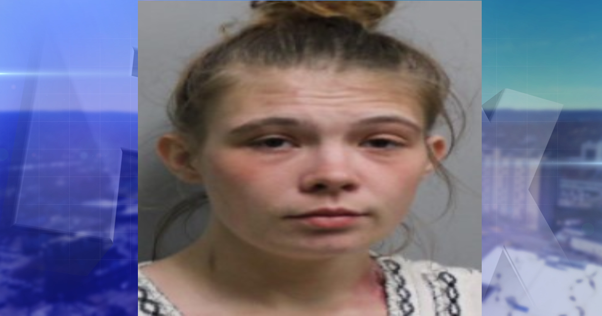 Oneonta Woman Pleads Guilty to Attempted Burglary Charge in Delaware County