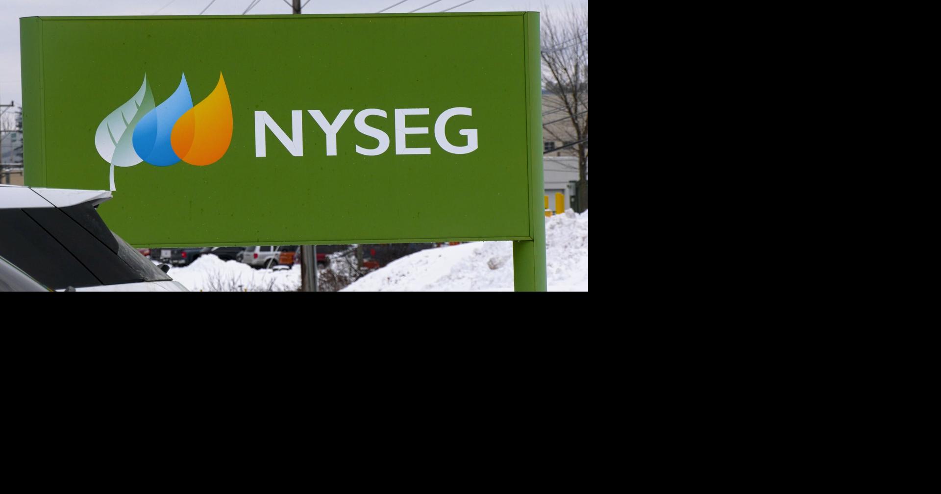 new york state electric & gas corp​