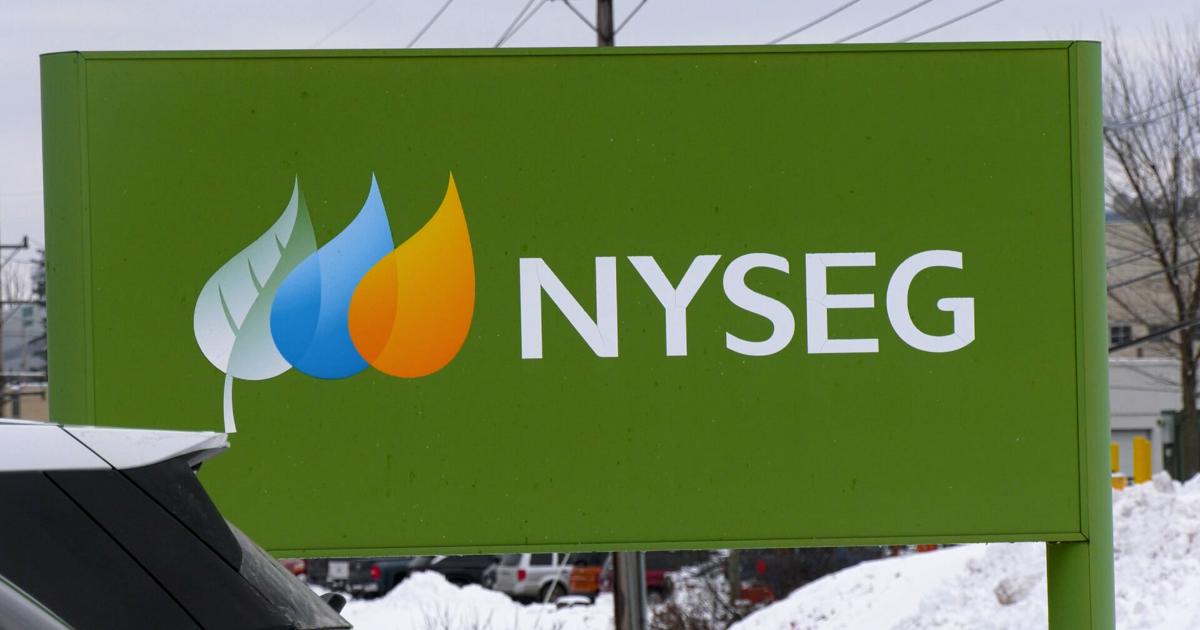 new york state electric & gas corp