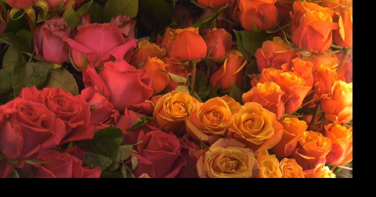 Flowers and Art Collide at Roberson Museum in September Aug 25, 2026 32 mins ago