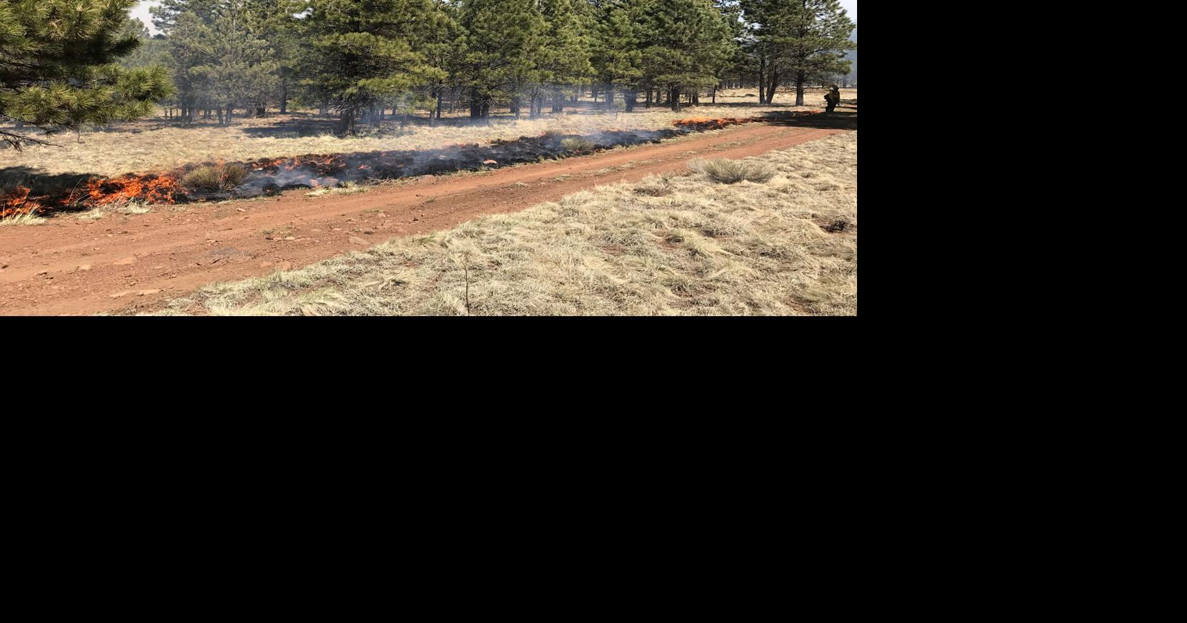 Coconino National Forest prescribed burns on hold | Grand Canyon Local ...