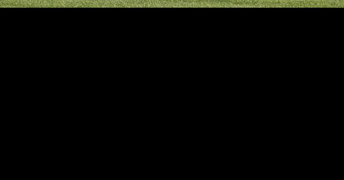 Flagstaff Kennel Club Show Photo Galleries