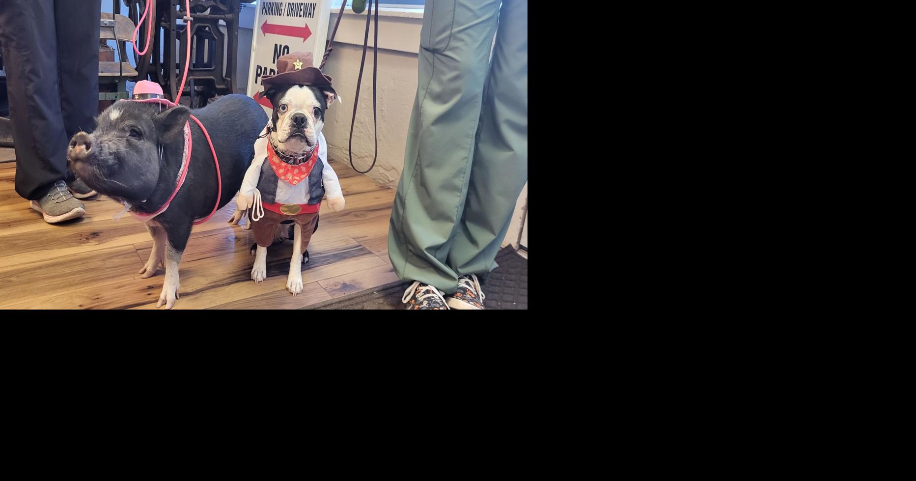 WGCN Halloween Costume Contest Winners