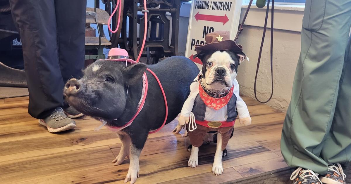 WGCN Halloween Costume Contest Winners