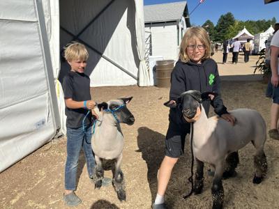 Coconino County fair ropes in the fun | Williams Local News ...