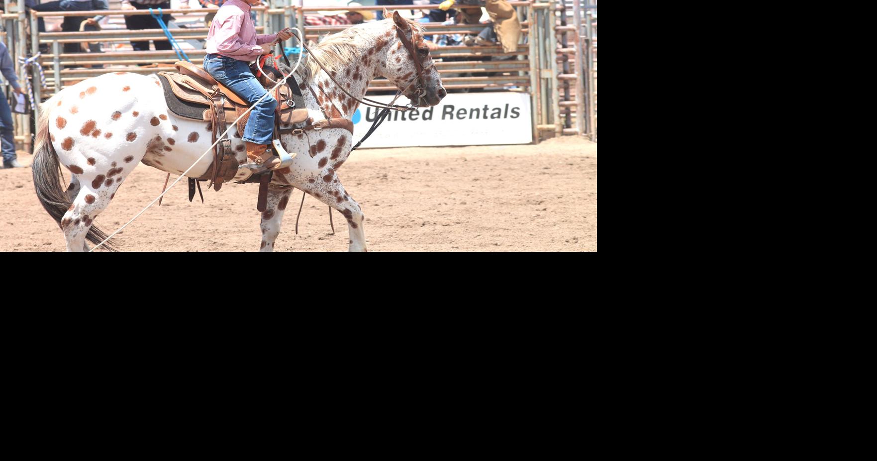 Cowpunchers Reunion Rodeo returns to Williams June 17-18 | Features ...