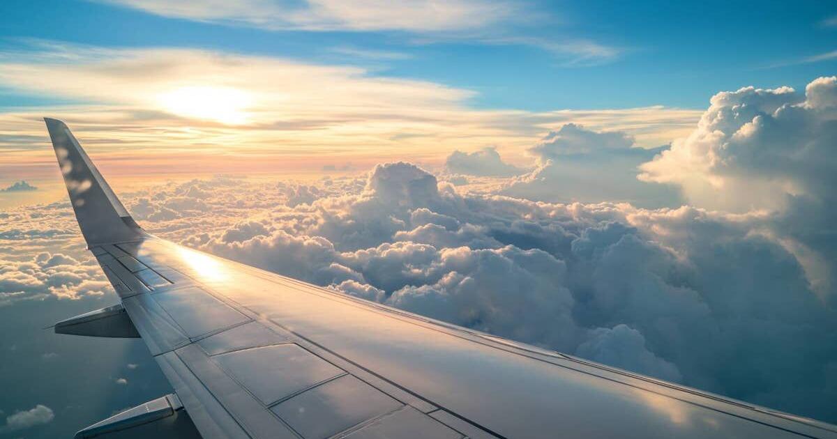 Airline shut down, loses license after accident kills 10 people Veronika Bondarenko Jul 11, 2026 58 mins ago