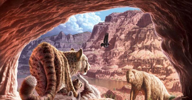 Thousands of Grand Canyon fossils revealed in NPS paleontological ...