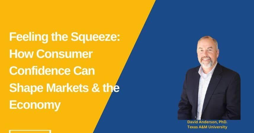 Feeling the Squeeze: How Consumer Confidence can Shape Markets and the Economy