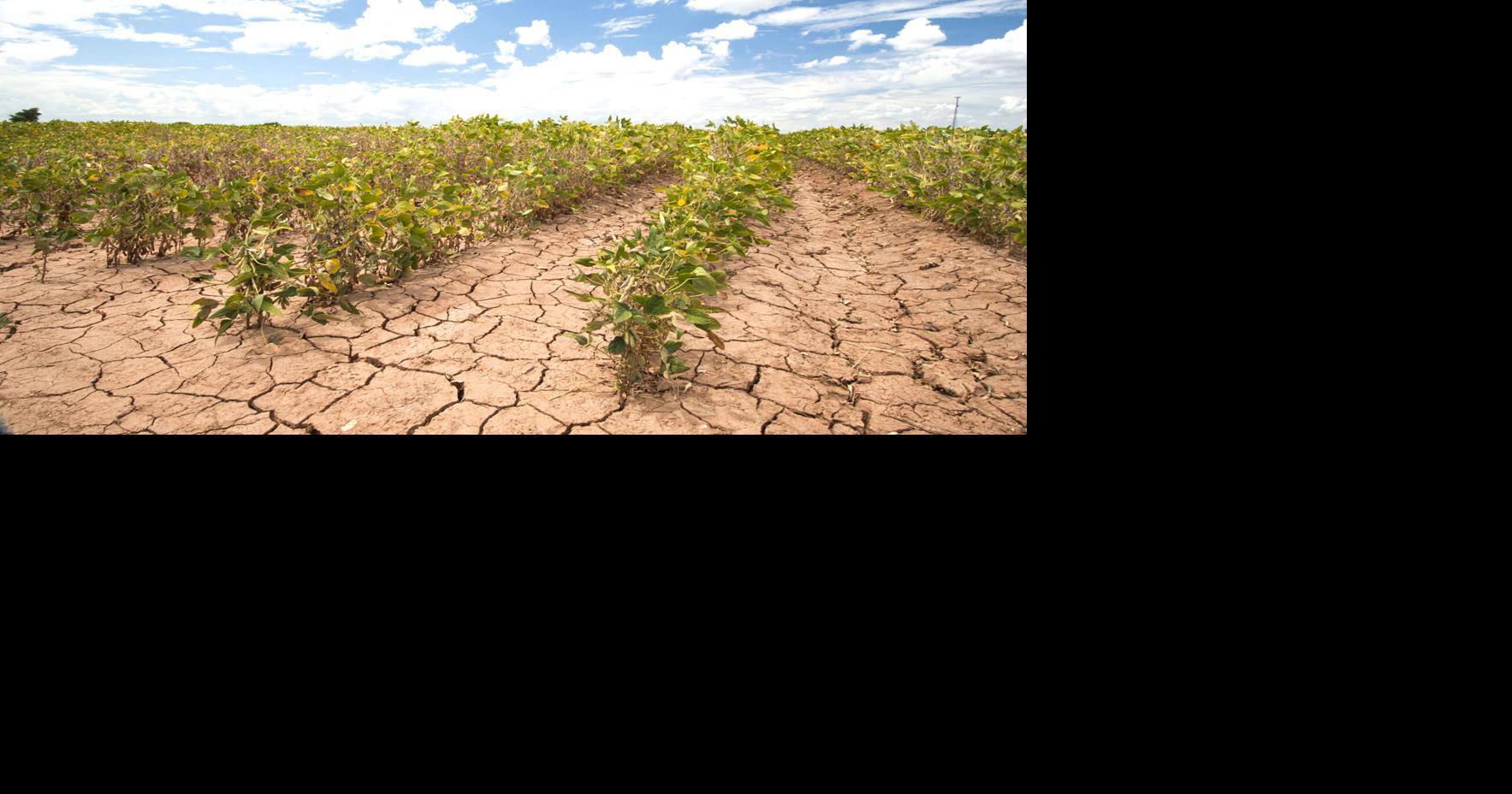 No snow forecast for drought stricken West | Features | williamsnews.com