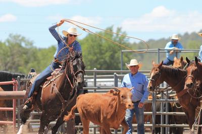 W. Williams Racing Rodeo Big turn out for Cowpunchers Reunion Rodeo in Williams | Features ...