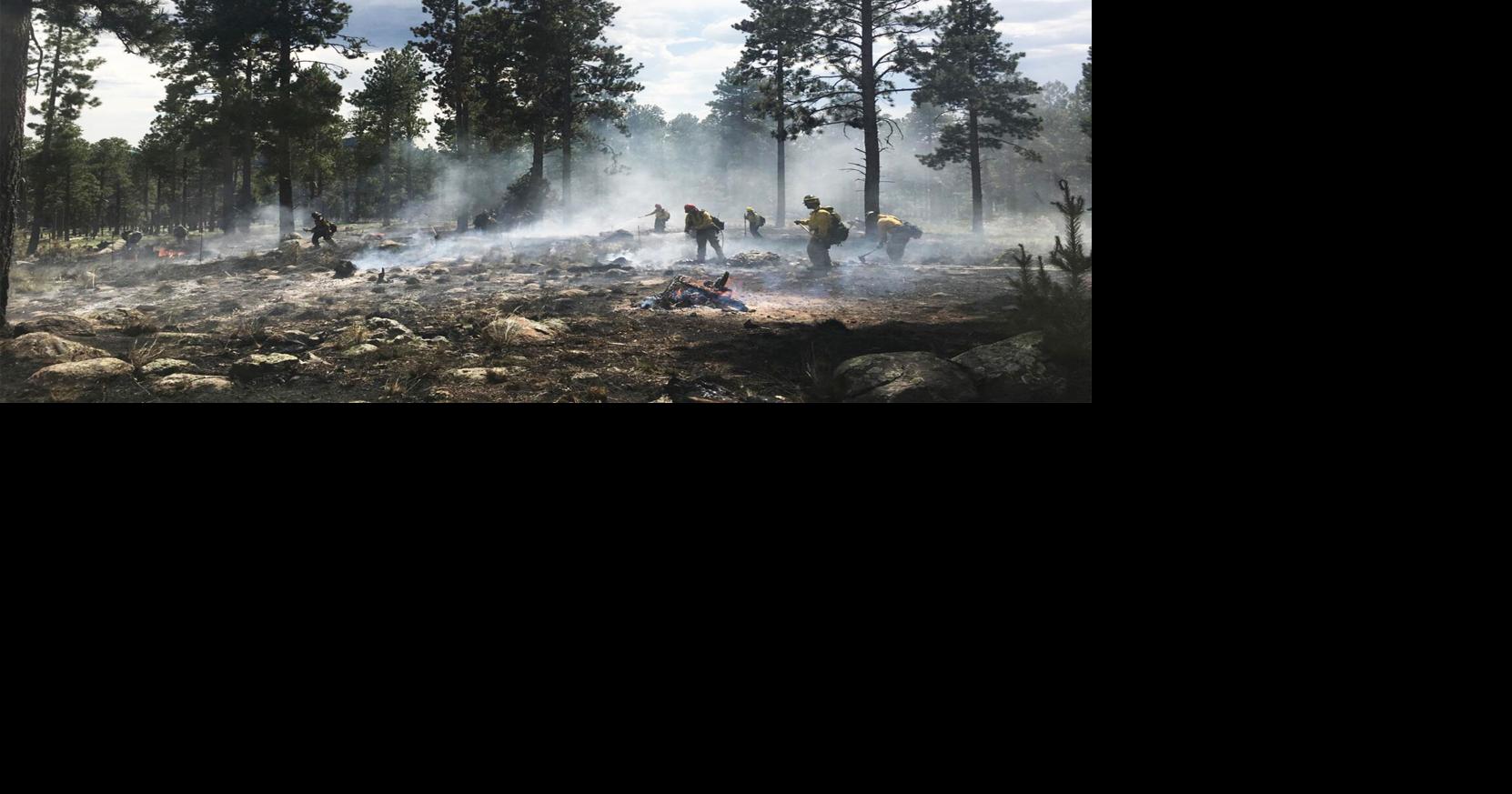 Coconino National Forest implements Stage 2 fire restrictions | Grand ...