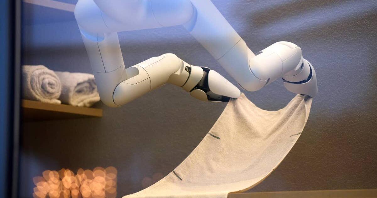 Japanese startup is building Optimus robot rival inspired by 