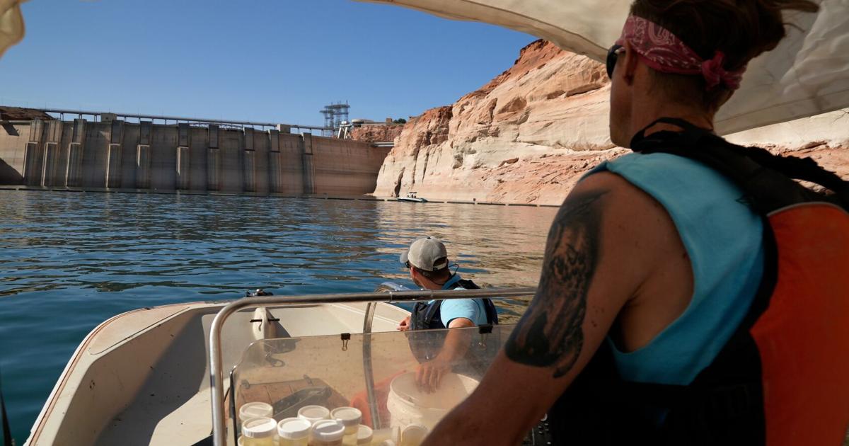 Releasing cool water to protect fish comes at cost to hydropower