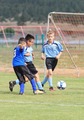 Ayso Soccer July 14 | Photo Galleries | williamsnews.com