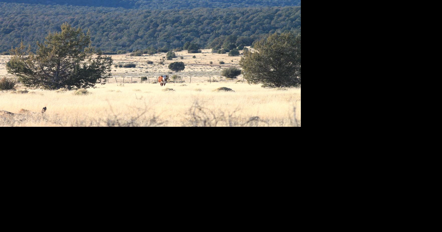 AZGFD and Navajo Nation agree on option for hunting at Boquillas Ranch ...