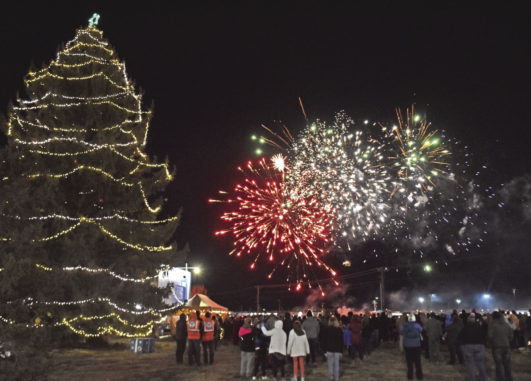 Williston City Christmas tree will be harvested Monday, may affect