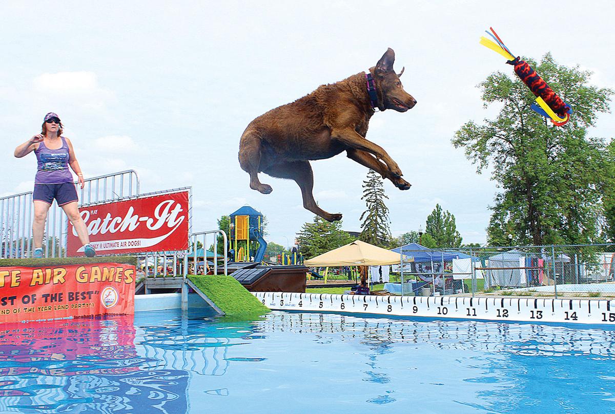 How Sweet It IsChokecherry Festival returns to Williston Community