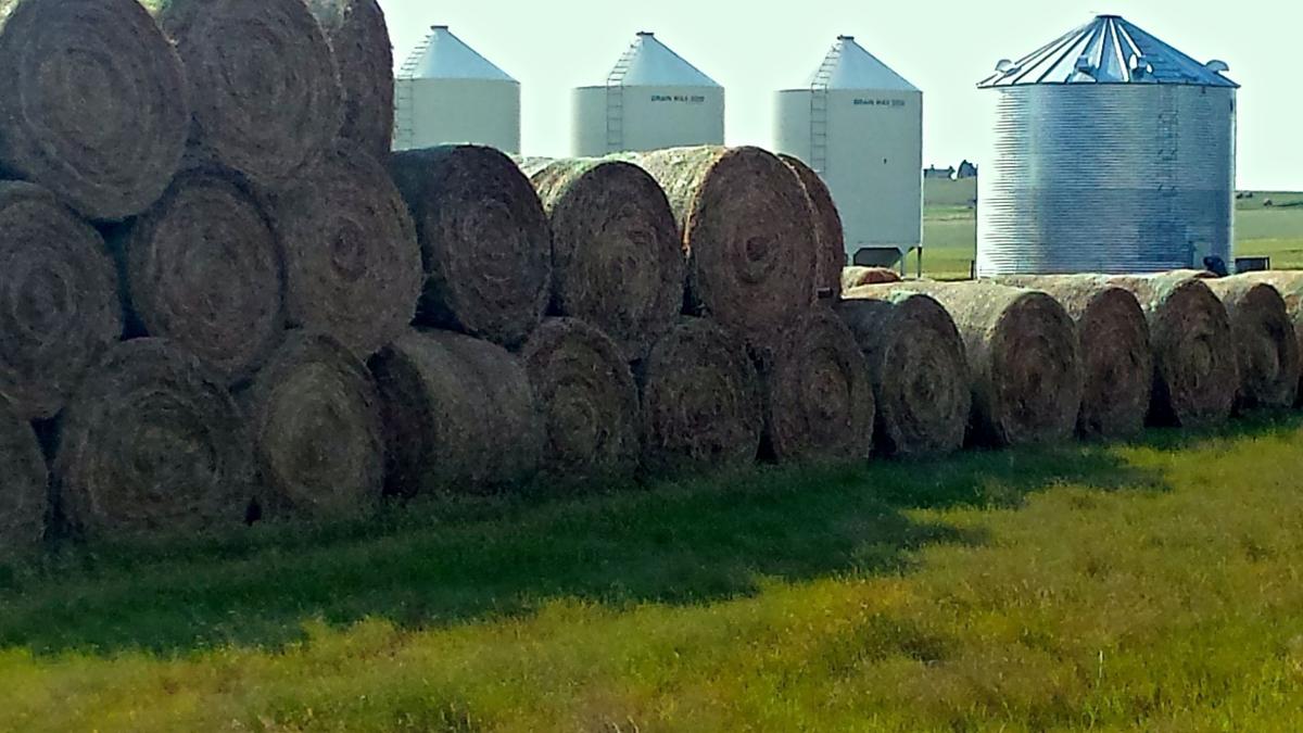 USDA announces emergency haying, grazing now available for CRP acres in all North Dakota