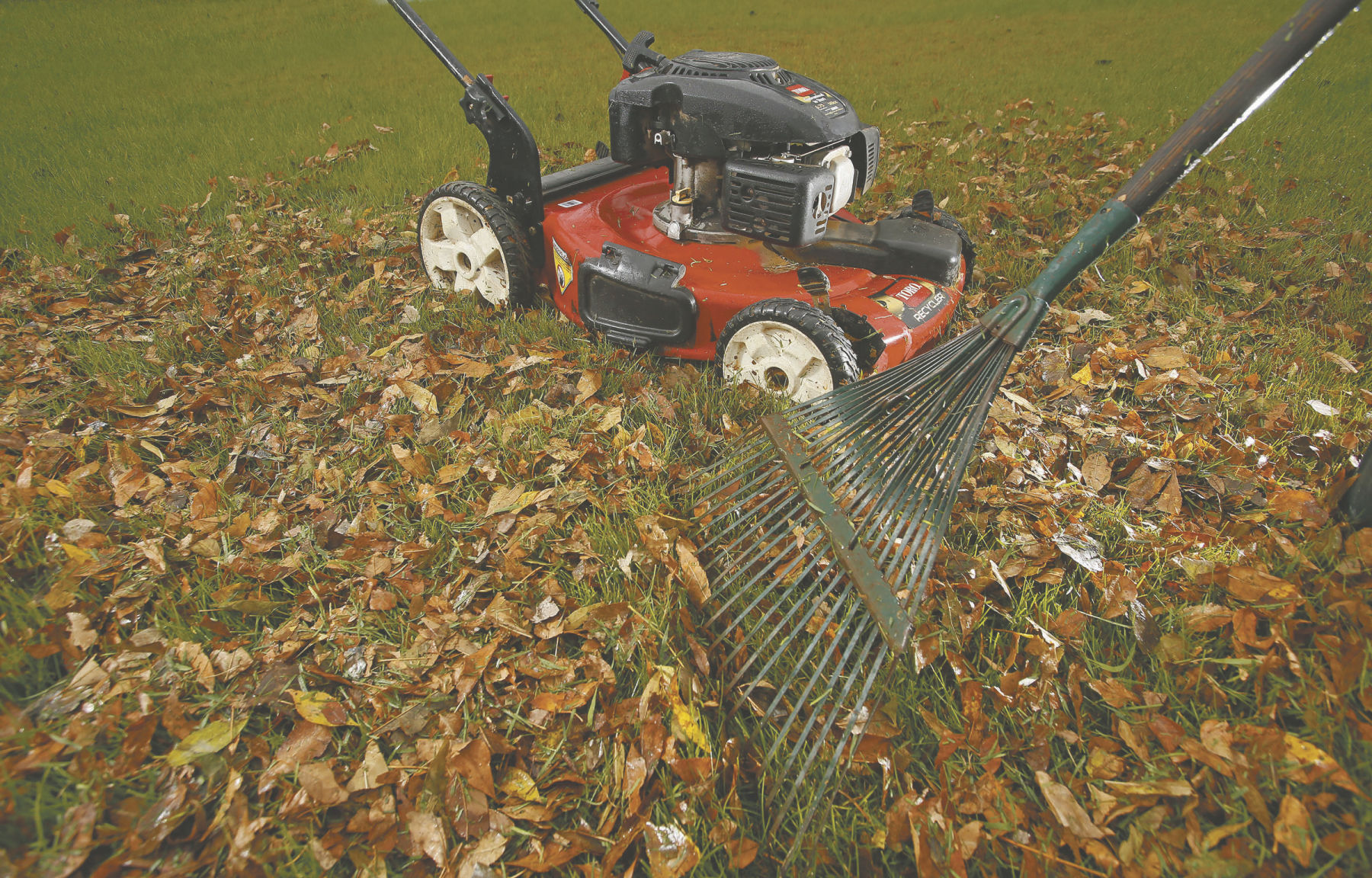 to rake