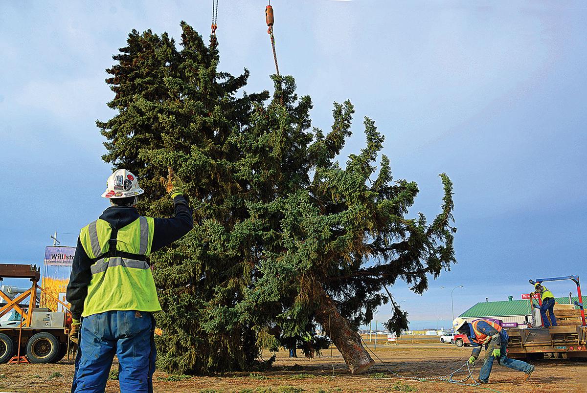 Williston takes on some treemendous work Local News