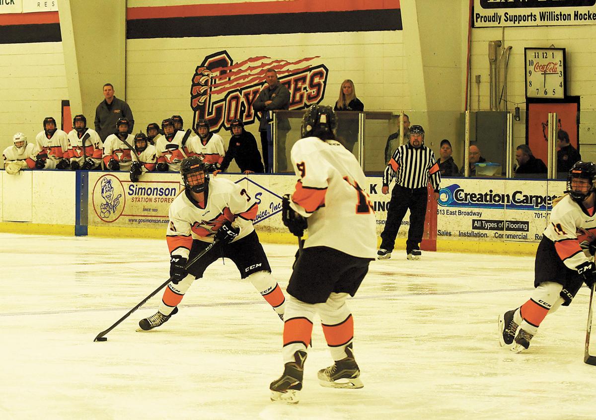 Winter Preview Coyotes girl's hockey will rely on an experienced group