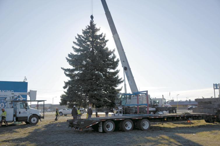 Workers install city Christmas tree ahead of ceremony Community