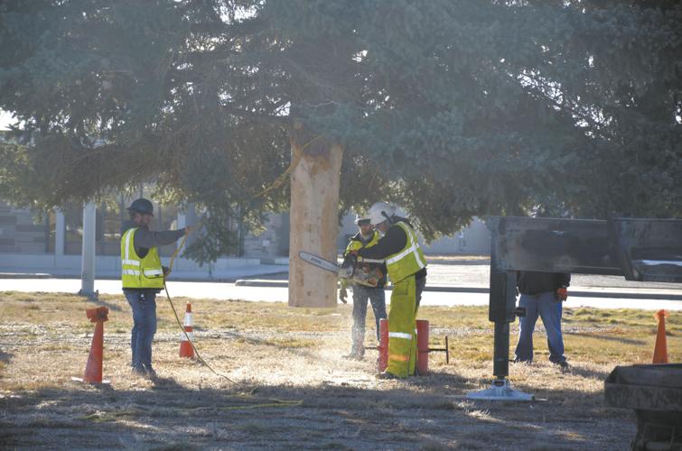 Workers install city Christmas tree ahead of ceremony Community