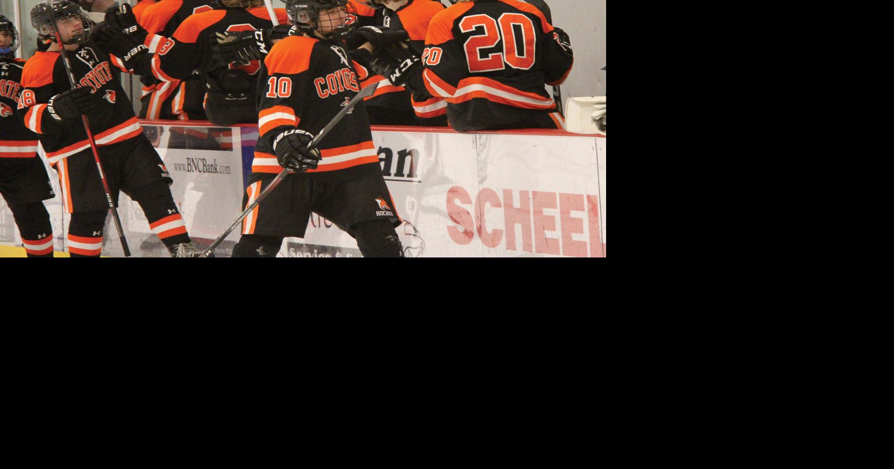 WHS boys hockey beats BottineauRugby 73 Prep Sports