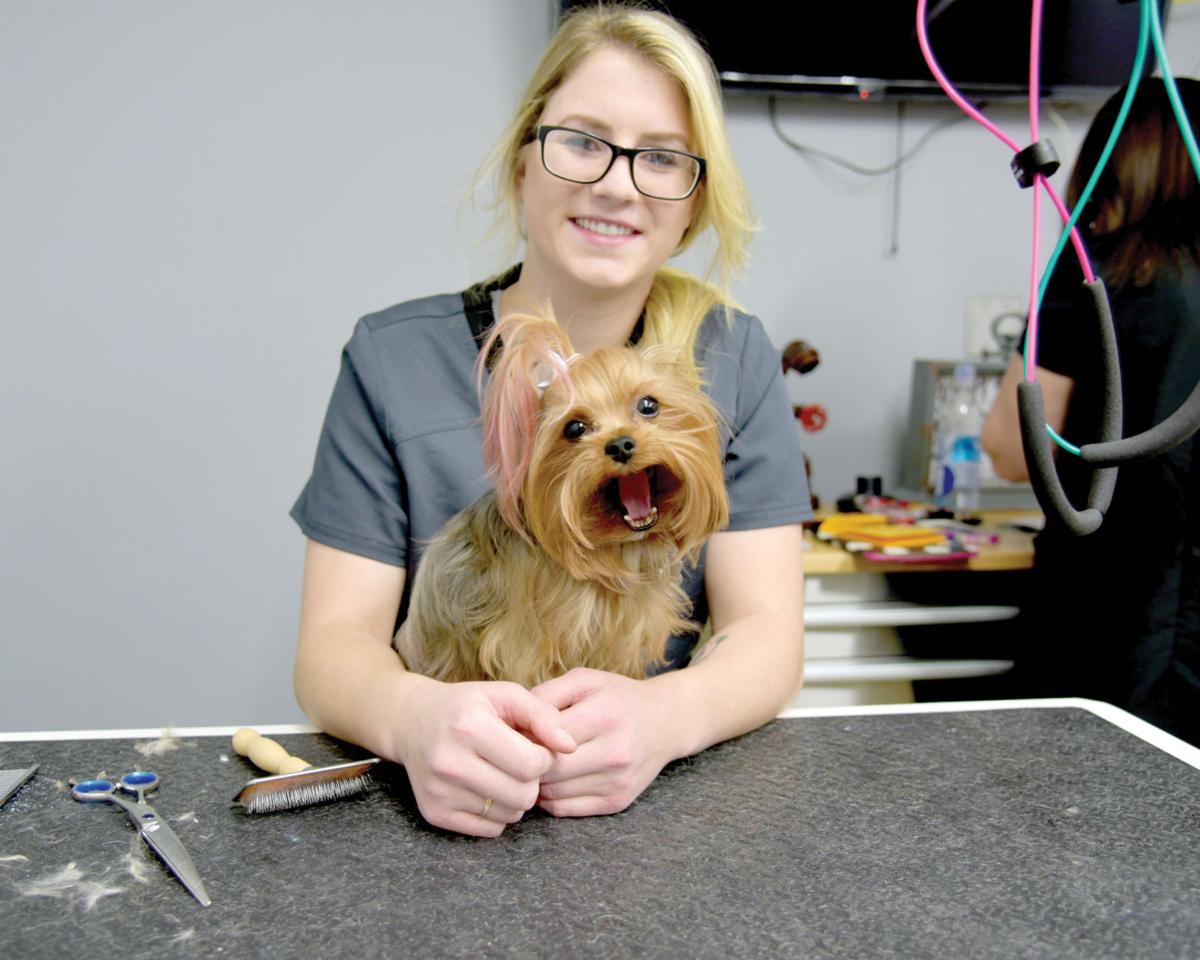 Pets get pampered at Anna's Groom Room Local News Stories
