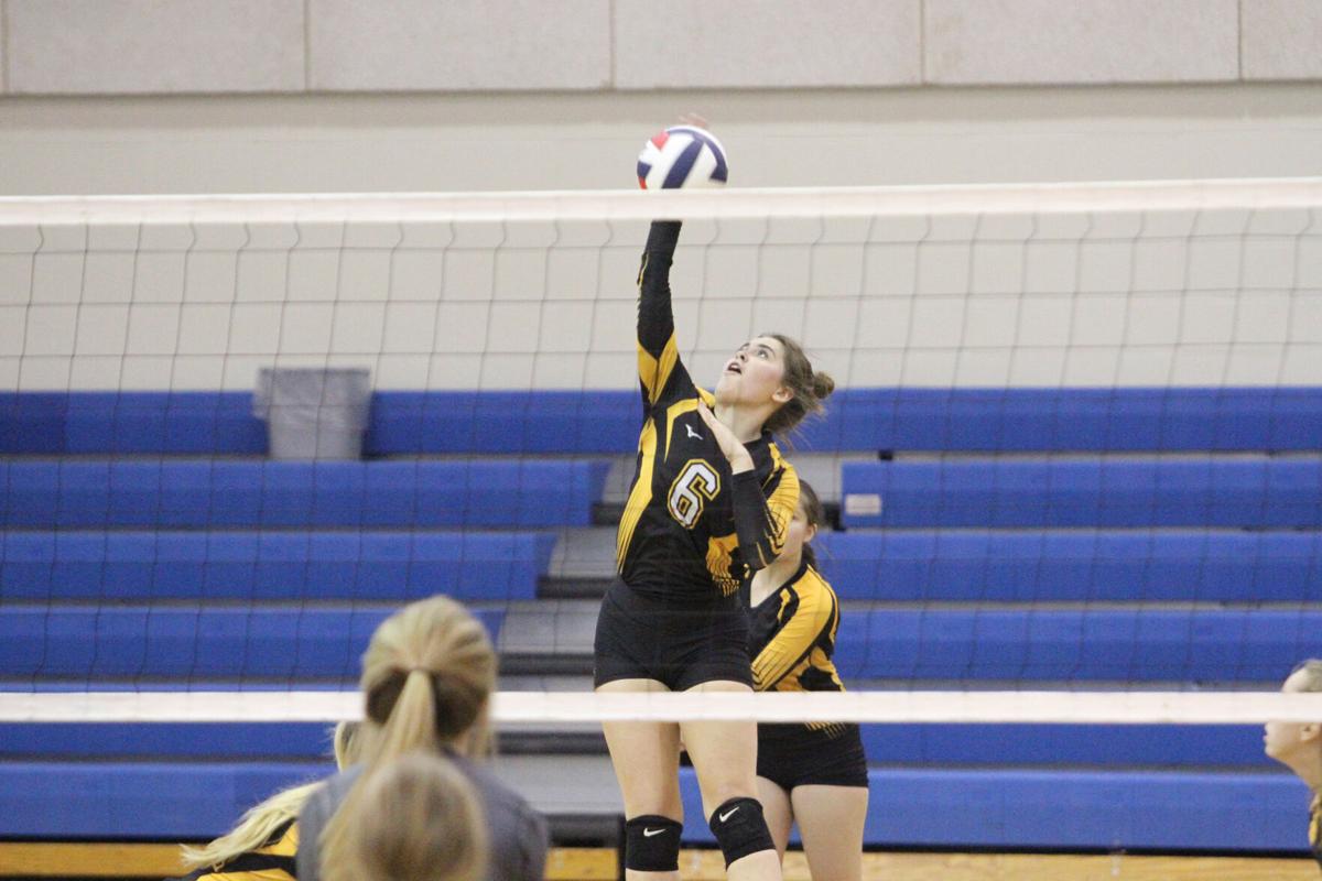 Mondak Thunder Falls To Savage In District 1c Volleyball Tournament Prep Sports Willistonherald Com