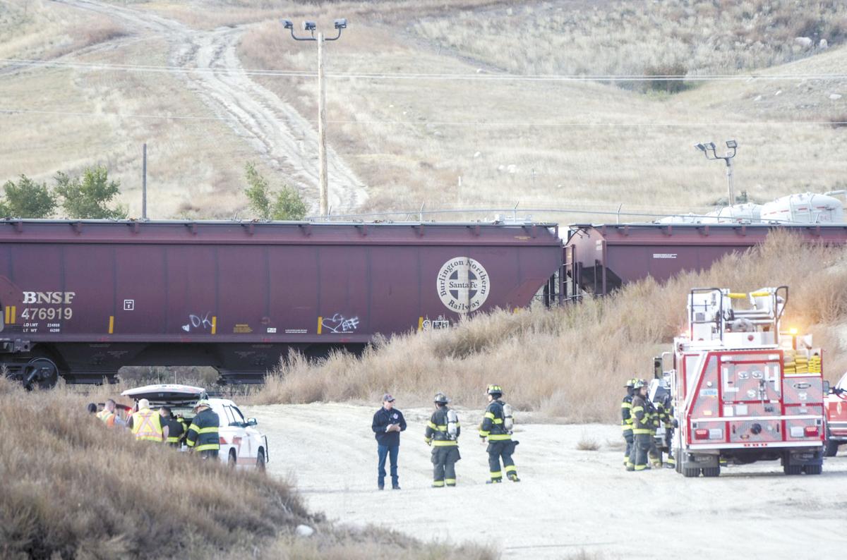 Train derails Local News