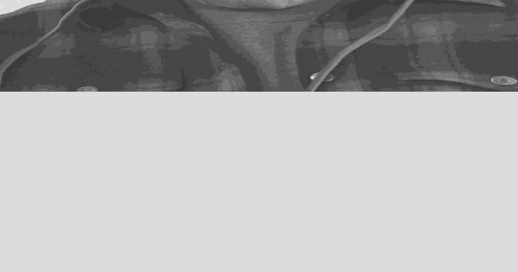 Peterson, 77 Obituaries